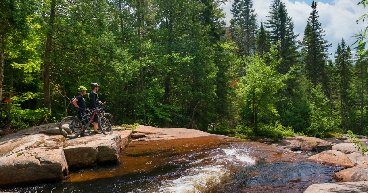 Prima pagina -Vendite Attrezzatura per Biciclette 14